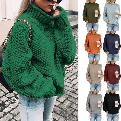 Ladies High Quality Knit Sweater with Turtleneck and Casual Fit Amarae