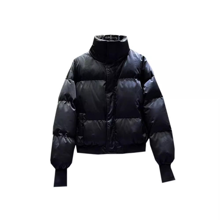 Men's winter jacket, stand collar, lined, short