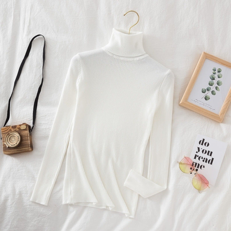 Ladies turtleneck sweater, long sleeve, knitted