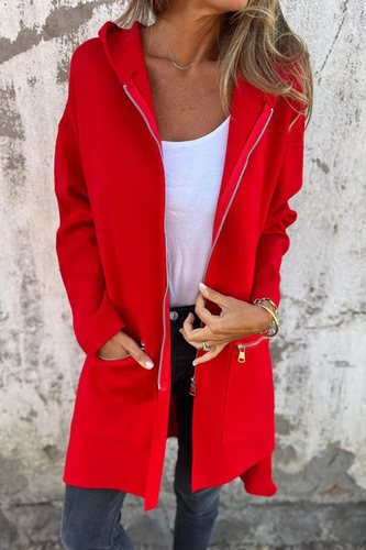 Amarae | Casual Daily Split Zipper Hoodie - 9 Colors