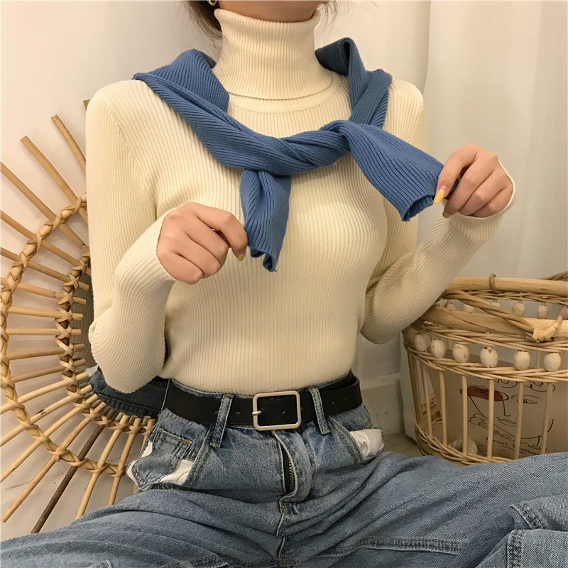 Women's Turtleneck Sweater, Knit, Fitted