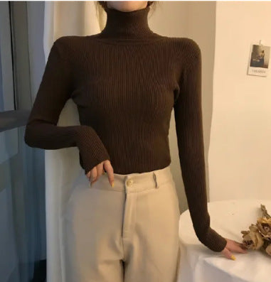 Women's Turtleneck Sweater, Knit, Fitted