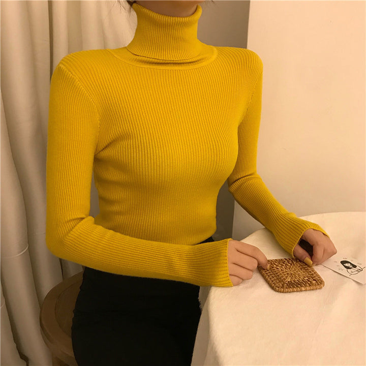 Women's Turtleneck Sweater, Knit, Fitted