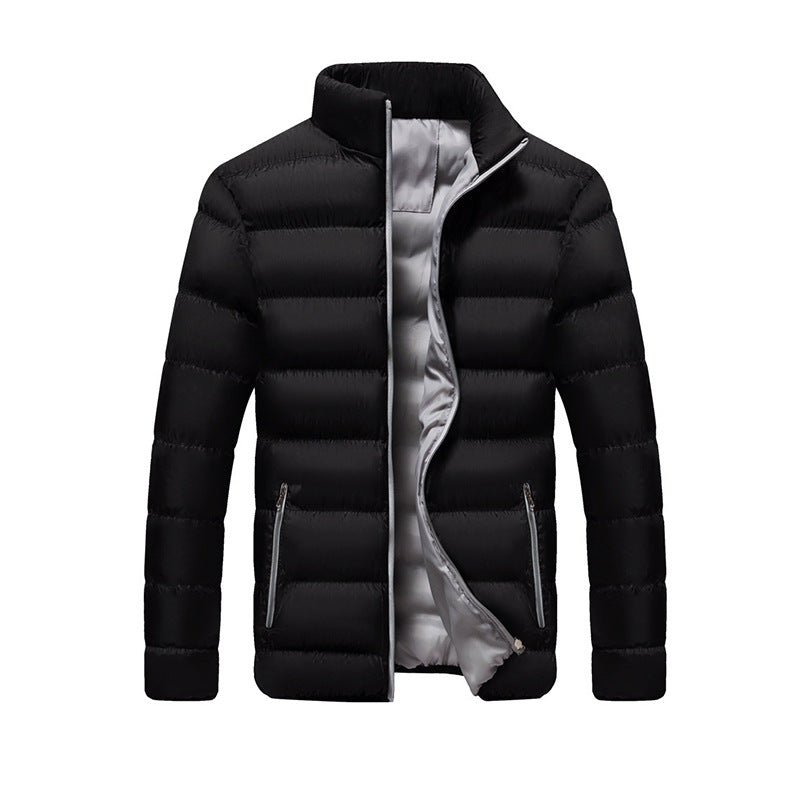 Men's quilted jacket, stand collar, lined, for leisure