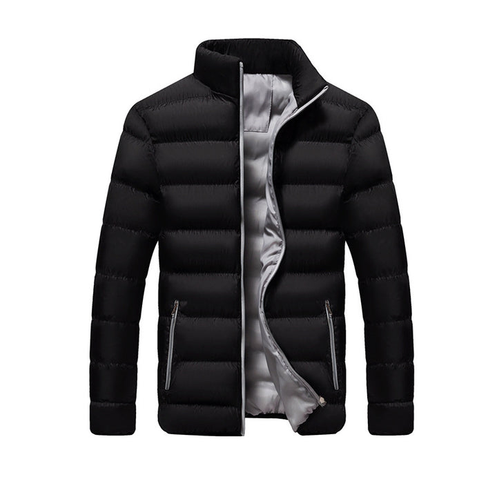 Men's quilted jacket, stand collar, lined, for leisure