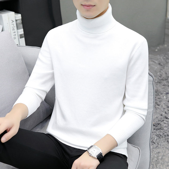 Men's turtleneck sweater, long-sleeved, slim fit