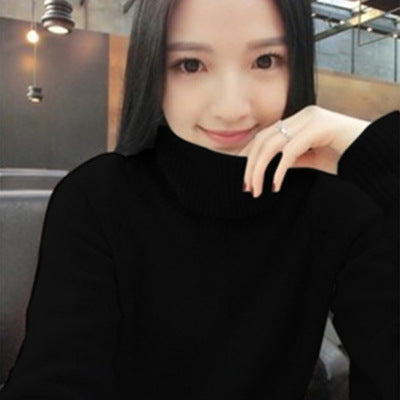 Women's Cashmere Sweater with Roll Neck