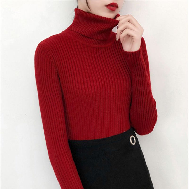 Women's knitted pullover with roll neck, fitted