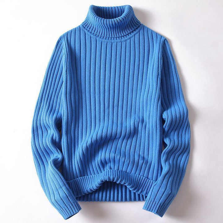 Men's turtleneck sweater, slim fit, lined