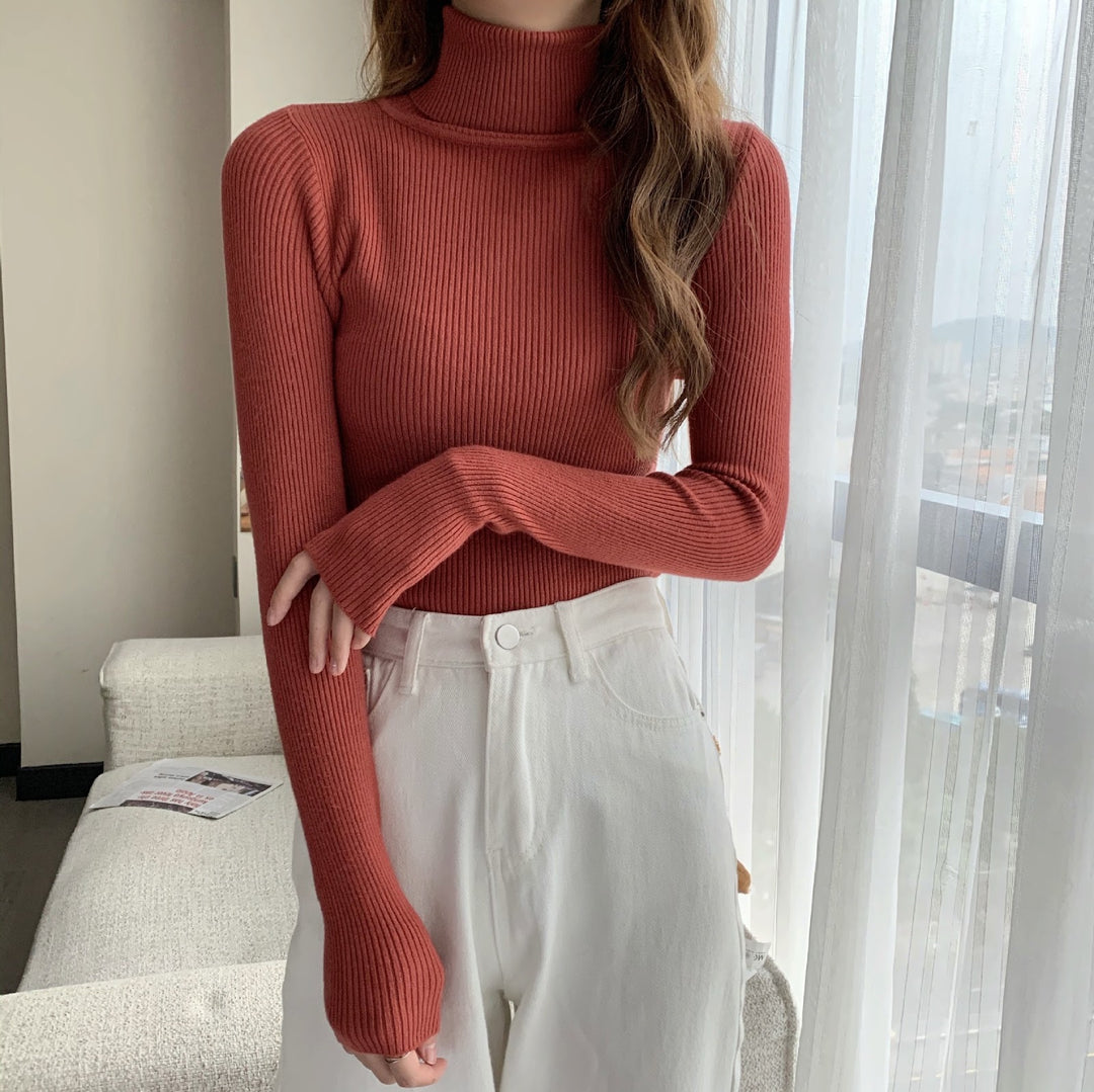 Classic women's knit pullover with roll neck