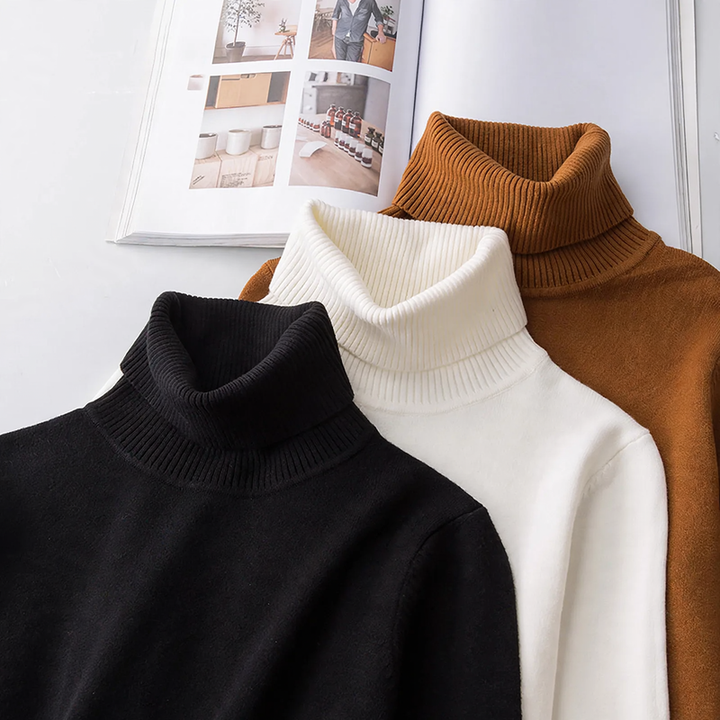 Men's turtleneck sweater, lined, warm