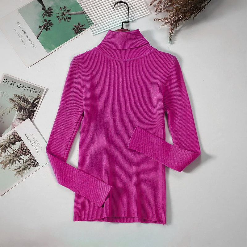 Classic women's knit pullover with roll neck