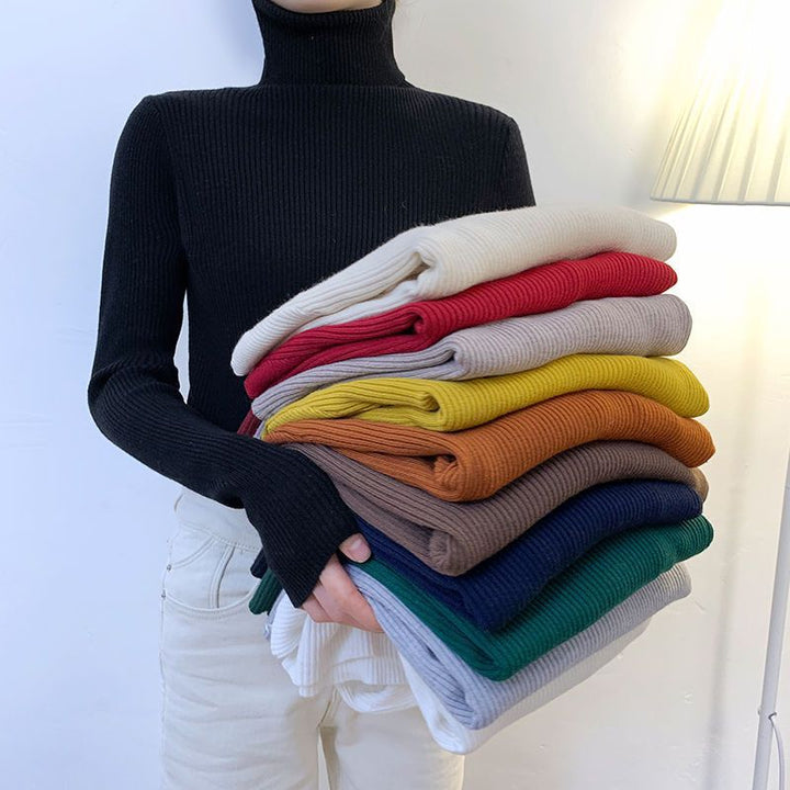 Women's turtleneck sweater, fitted, plus sizes