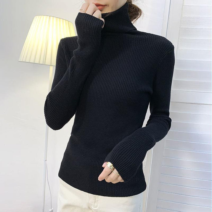 Women's turtleneck sweater, long-sleeved, plus sizes
