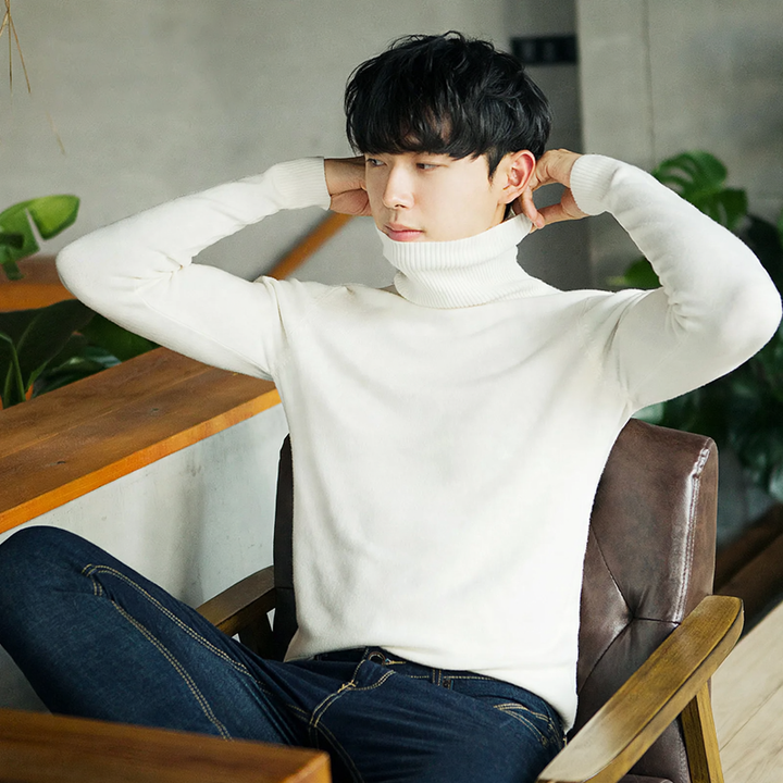Men's turtleneck sweater, lined, warm