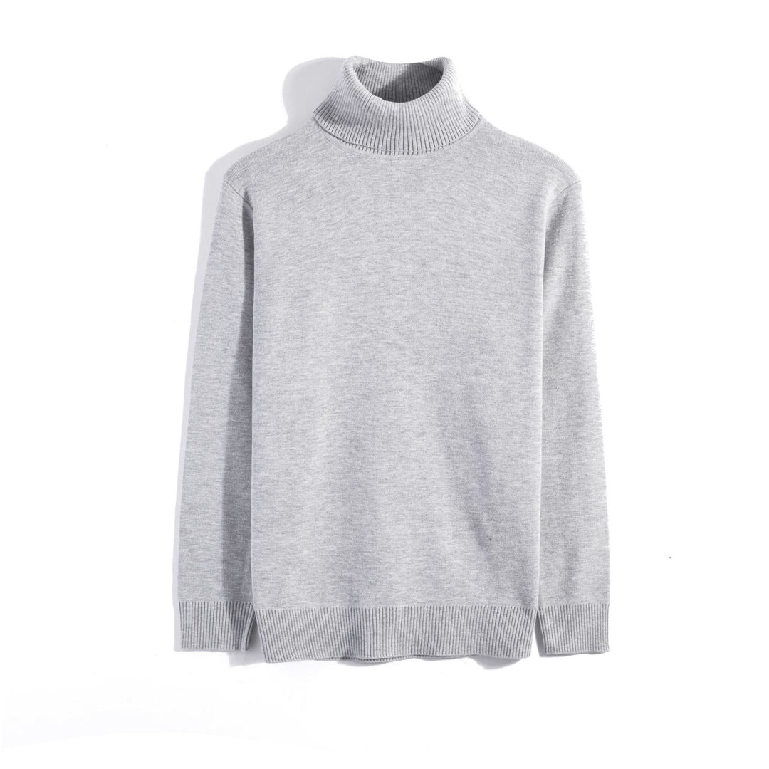 Men's turtleneck sweater, slim fit, 400g