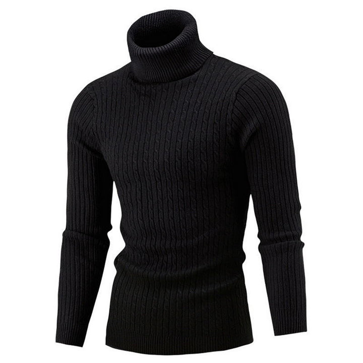 Men's knitted sweater with roll neck and cable pattern