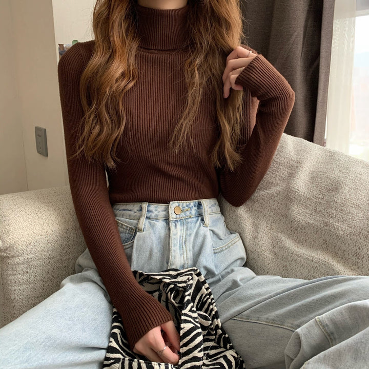 Classic women's knit pullover with roll neck