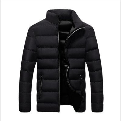 Men's quilted jacket, stand collar, lined, for leisure