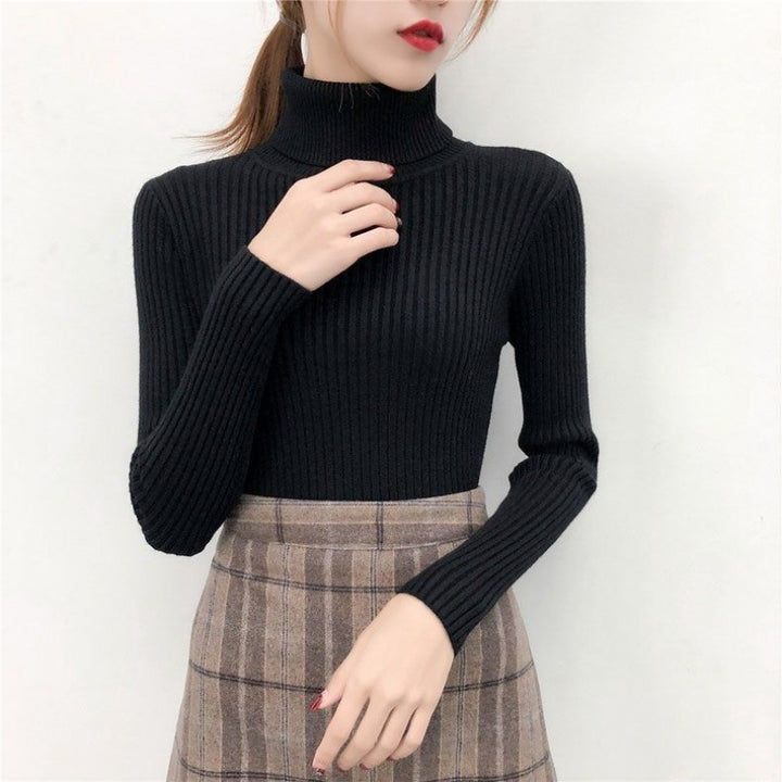 Women's knitted pullover with roll neck, fitted