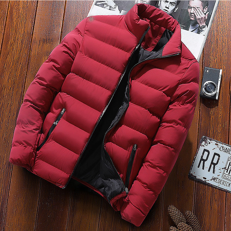 Men's padded jacket, stand-up collar, lined, for sports