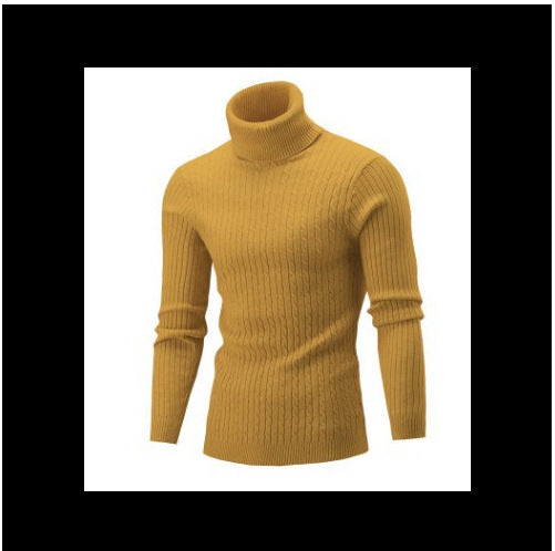 Men's knitted sweater with roll neck and cable pattern