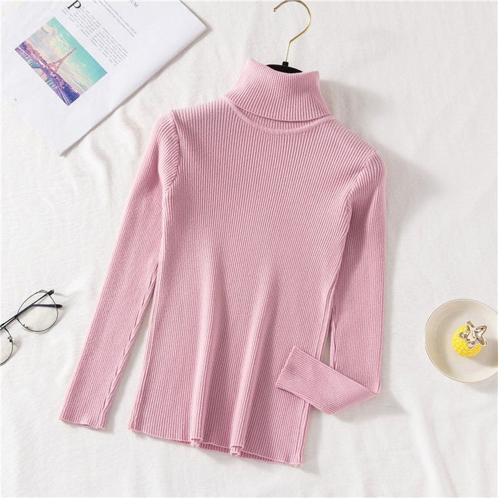 Women's turtleneck sweater, fitted, plus sizes