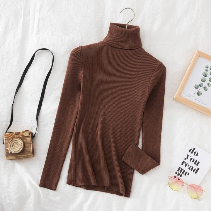 Ladies turtleneck sweater, long sleeve, knitted