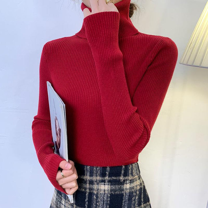 Women's turtleneck sweater, long-sleeved, plus sizes