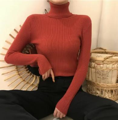 Women's Turtleneck Sweater, Knit, Fitted