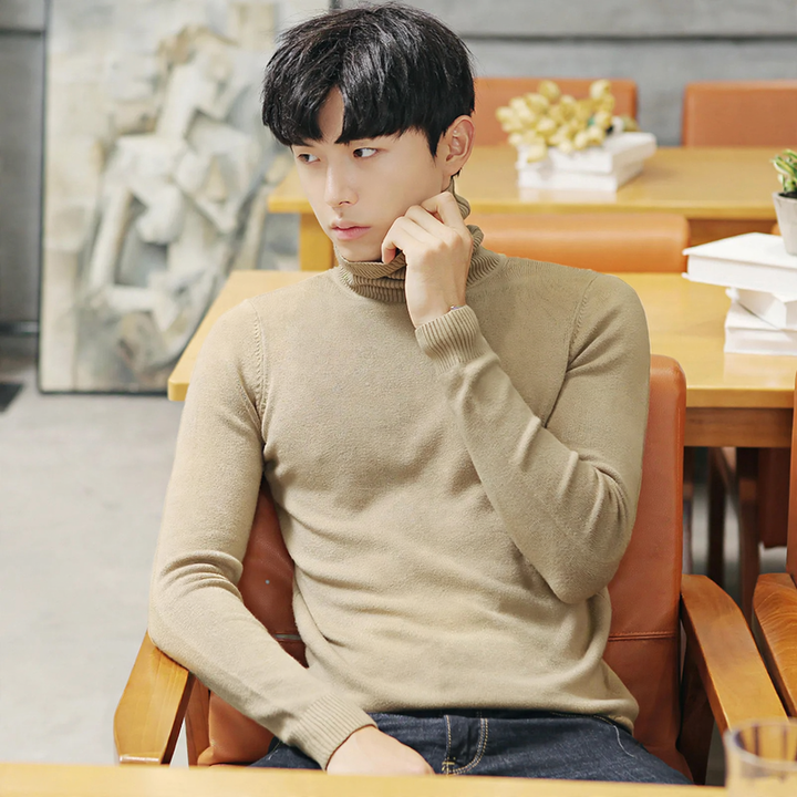 Men's turtleneck sweater, lined, warm