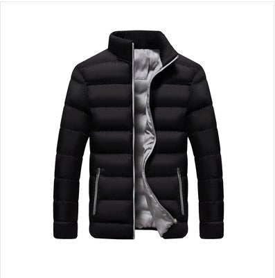 Men's quilted jacket, stand collar, lined, for leisure
