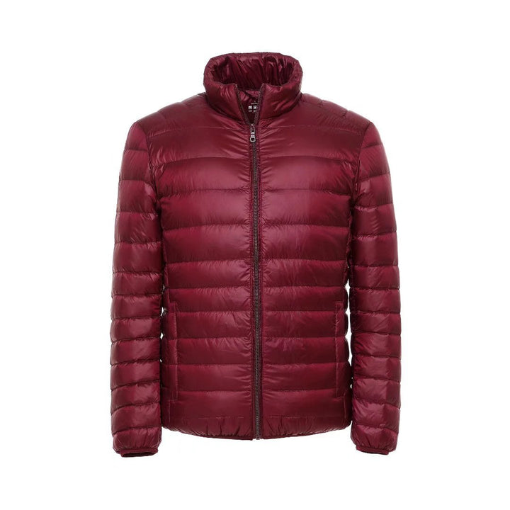 Simple men's down jacket with stand-up collar