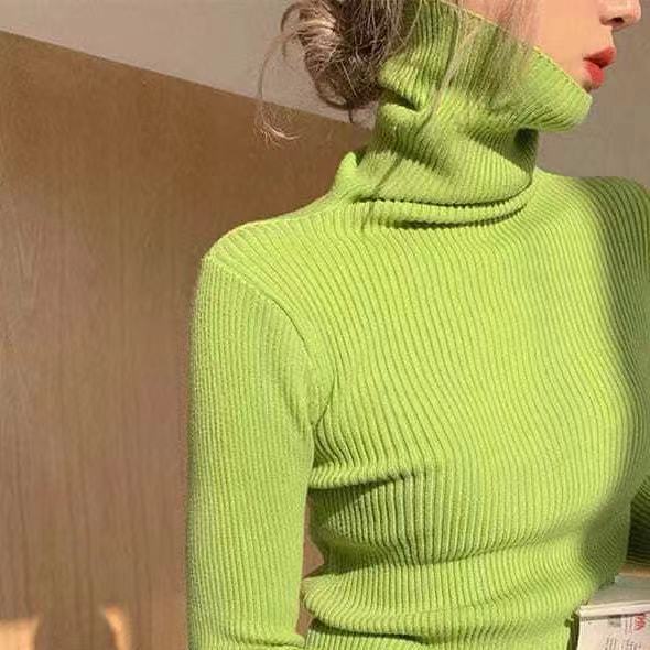 Women's turtleneck sweater, fitted, plus sizes