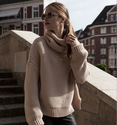 Ladies Soft Knit Sweater with High Collar and Textured Surface Amarae