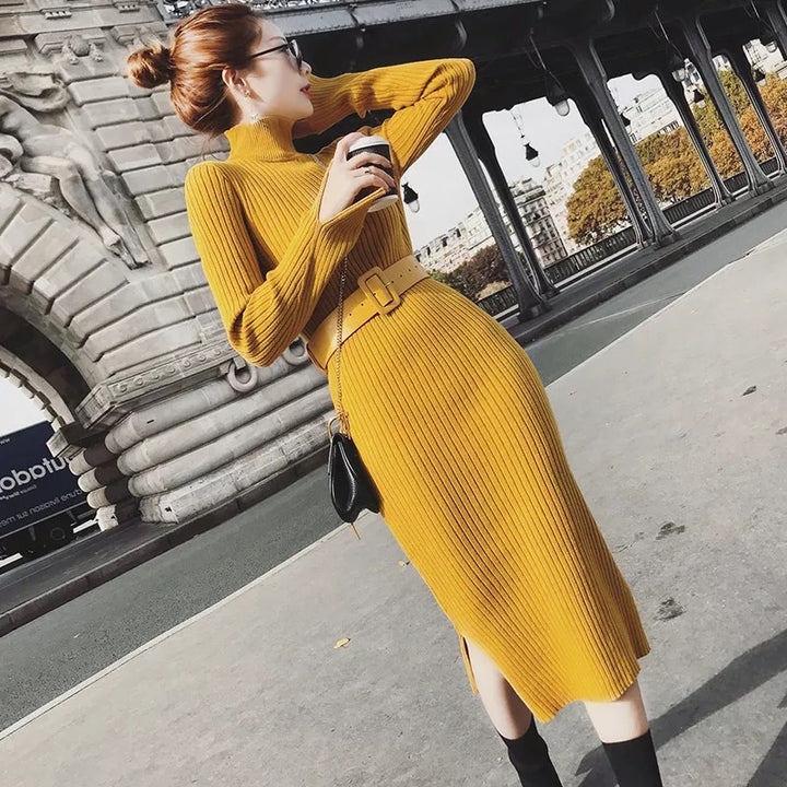 Robe tricotée pour femme avec ceinture et col haut Chic & Stil