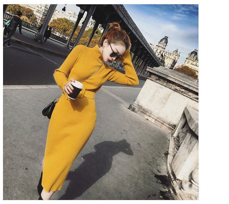 Robe tricotée pour femme avec ceinture et col haut Chic & Stil