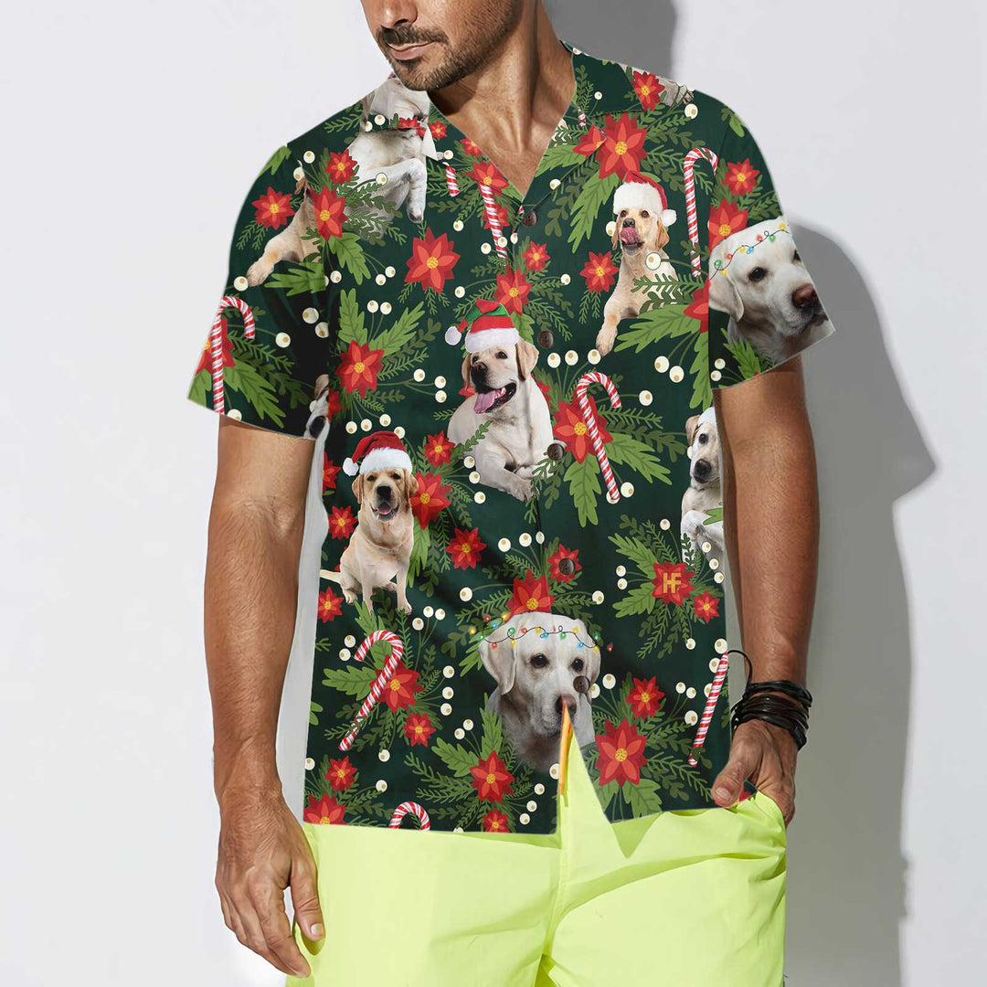 Lune London | Christmas Labrador-Retriever Sweatshirt with Christmas Star, fun Labrador T-shirt for men and women