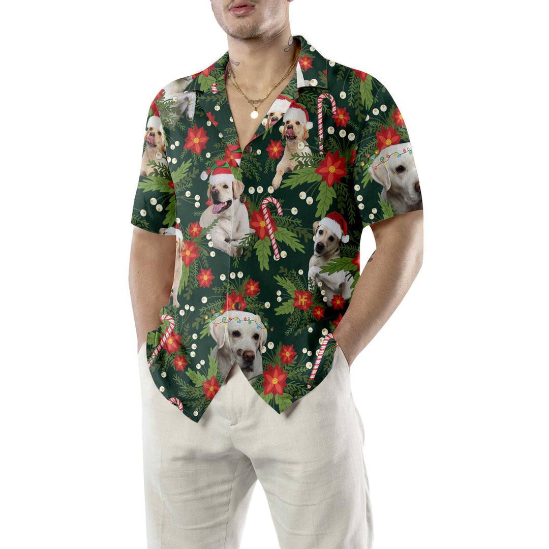 Lune London | Christmas Labrador-Retriever Sweatshirt with Christmas Star, fun Labrador T-shirt for men and women