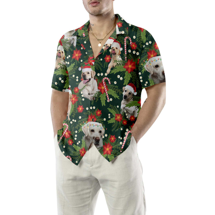 Lune London | Christmas Labrador-Retriever Sweatshirt with Christmas Star, fun Labrador T-shirt for men and women