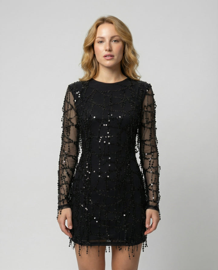 Elegant Fringe Sequin Dress Women | Amarae