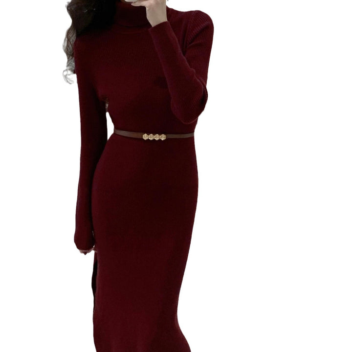 Robe en tricot élégante pour femmes avec col haut et design ajusté Chic & Stil