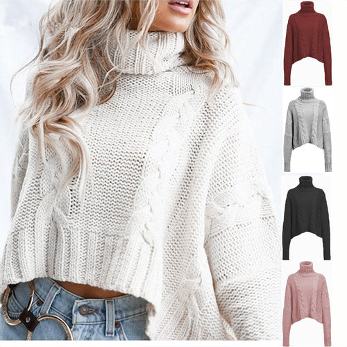 Chunky knit sweater for women with high collar and unique cable design Amarae