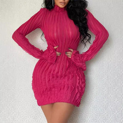 Long sleeve fitted dress with high collar for women Amarae