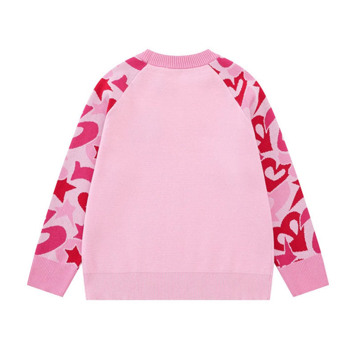 Women's knit sweater with raglan sleeves, statement jacquard sleeves, and ribbed hem Amarae