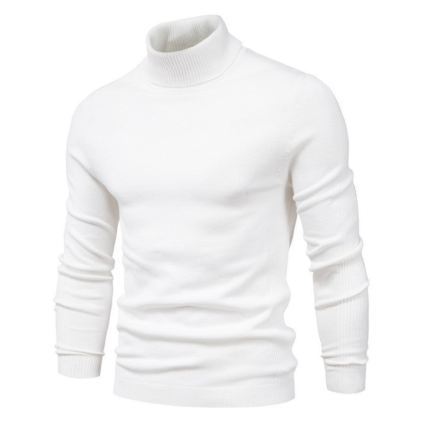 Men's Fashionable Turtleneck Sweater Made Of Fine Merino Wool Lune London