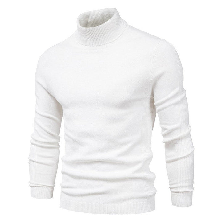 Men's Fashionable Turtleneck Sweater Made Of Fine Merino Wool Lune London