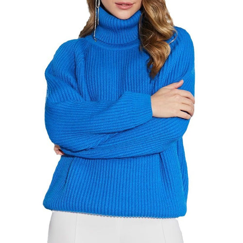Amarae loose turtleneck sweater for women