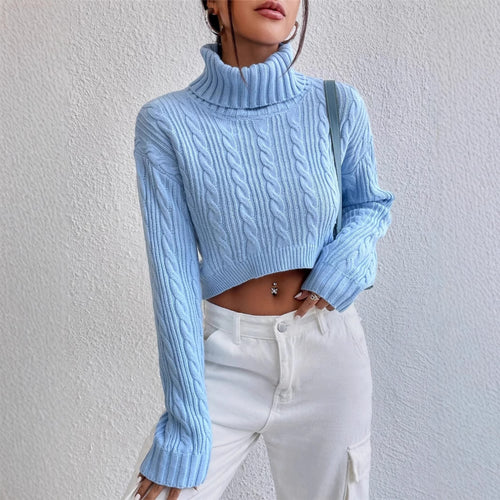 Chunky knit sweater for women with high collar Amarae