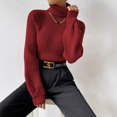 Fitted women's sweater with ribbed texture and high collar Amarae